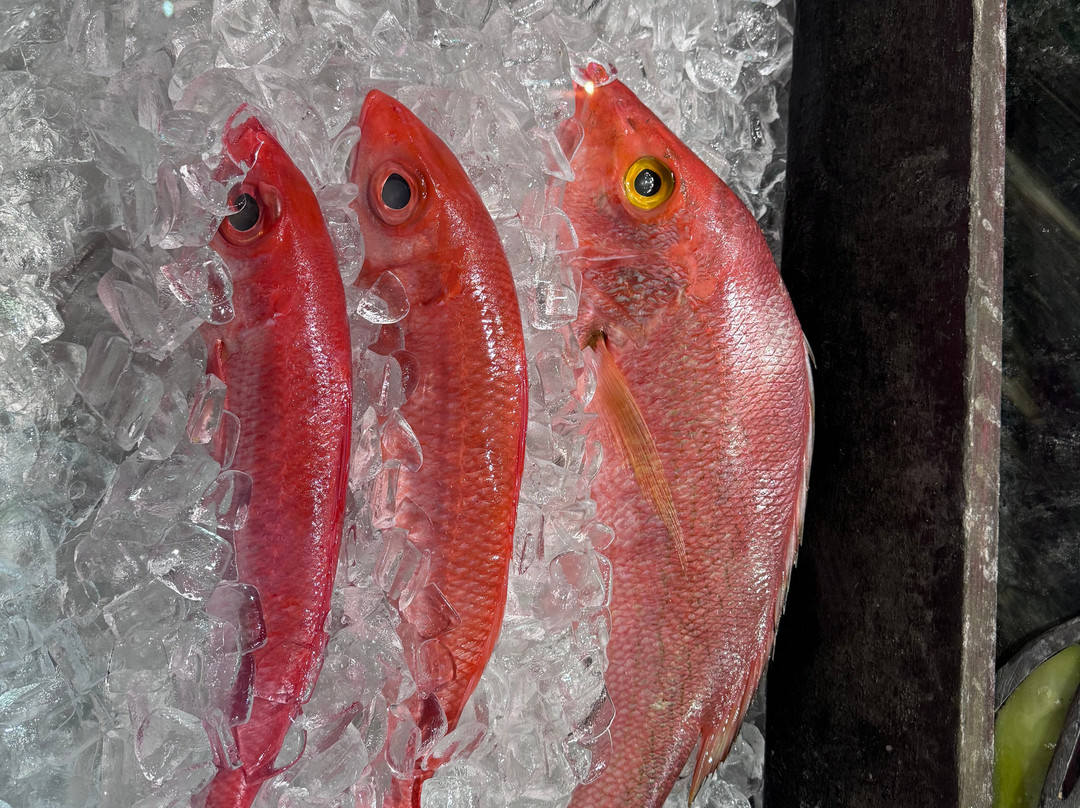 Salt Flats and Wildlife Refuge-Cabo Rojo必去景点