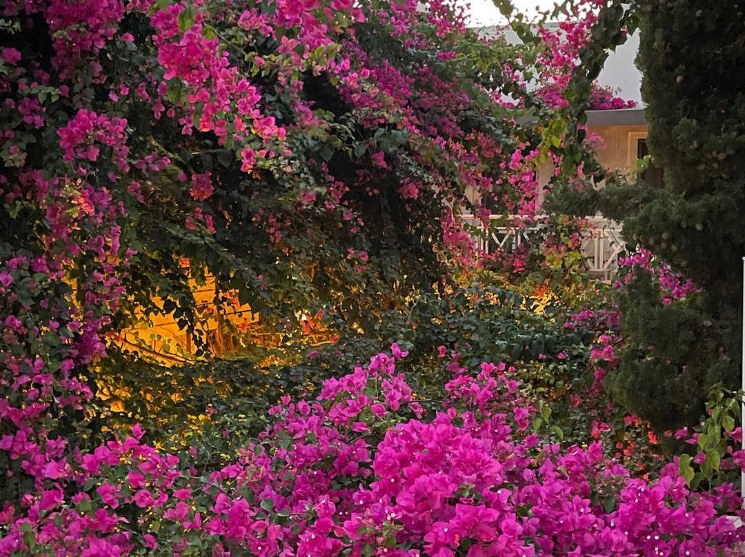 阿波罗精品酒店主图