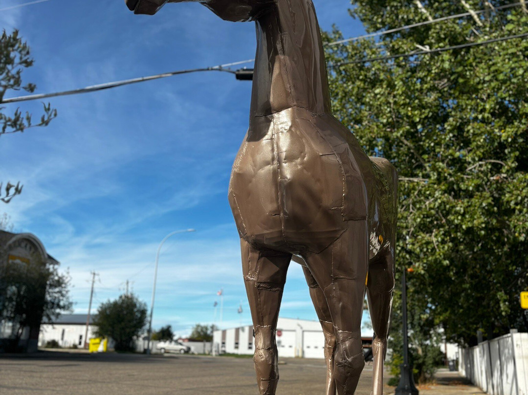 Smoky The Horse-Irricana必去景点