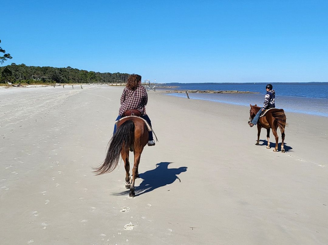 Camelot Farms Equestian Center-Saint Helena Island必去景点