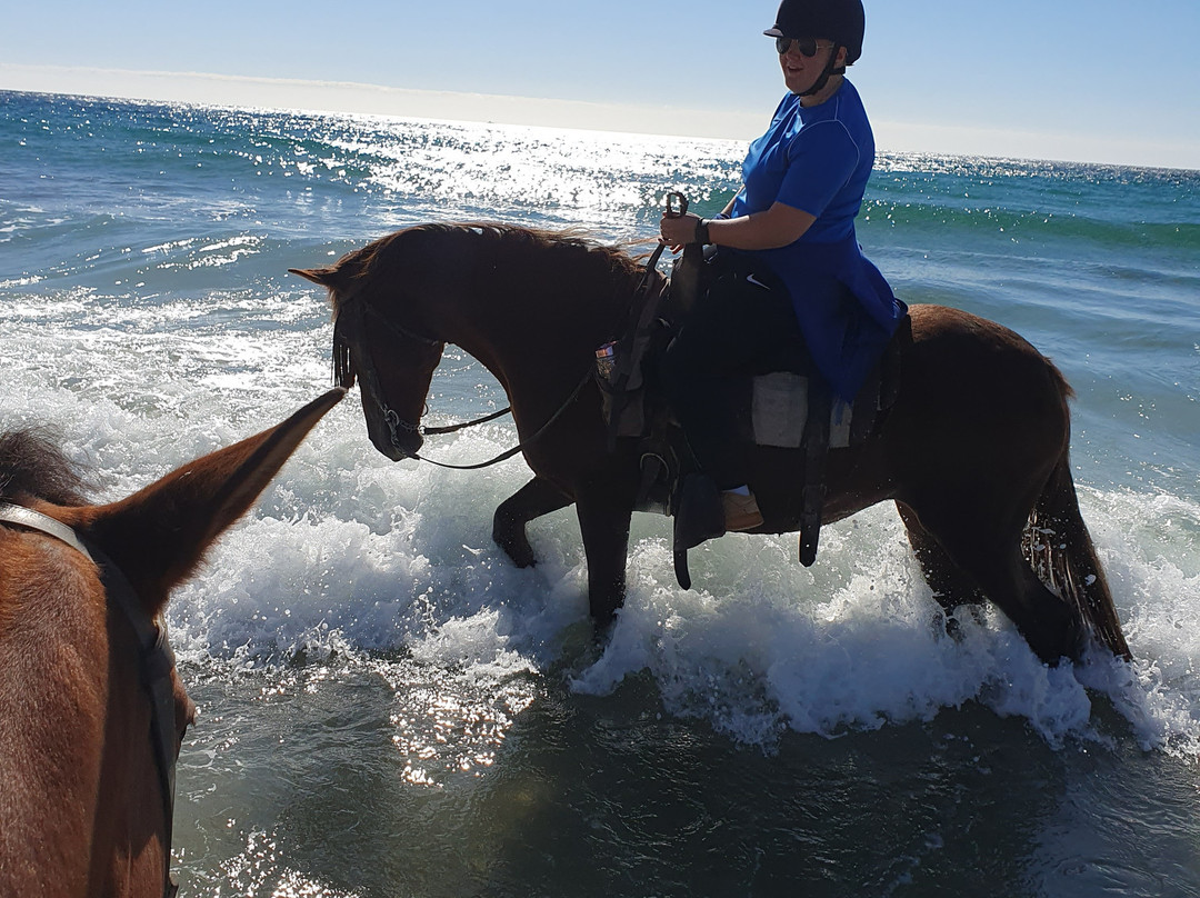 Horse Trekking in Adalusia景点图片