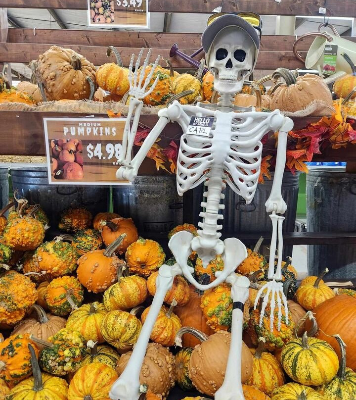 Cox's Plant Farm-Clayton必去景点