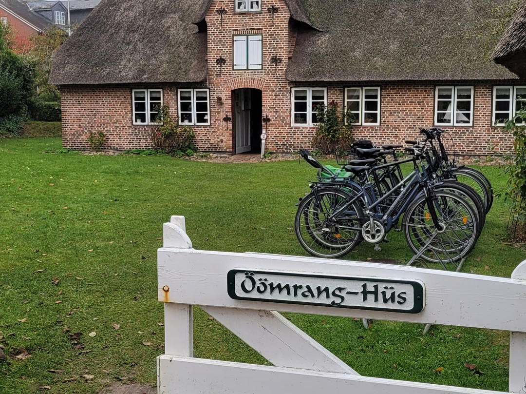 Oomrang Hus Museum景点图片