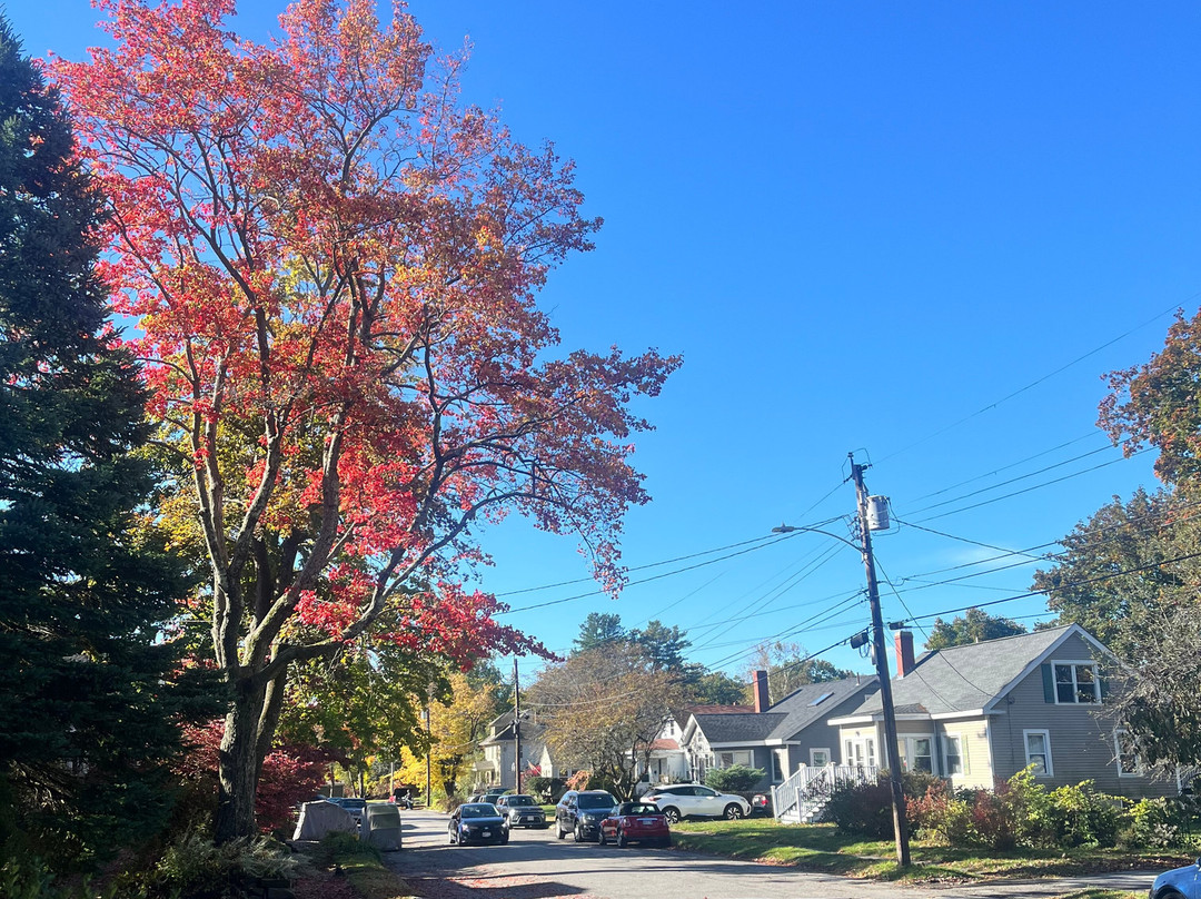 Fleetwood House Bed and Breakfast主图