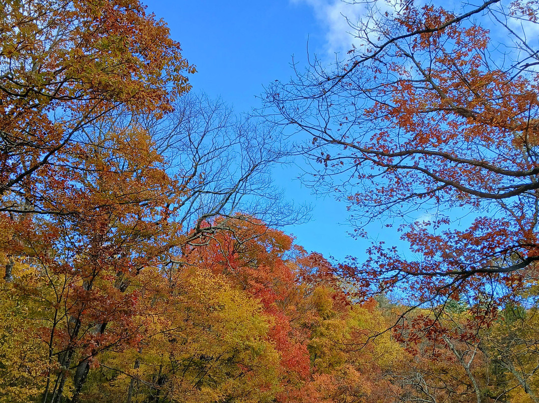 Shenandoah National Park景点图片