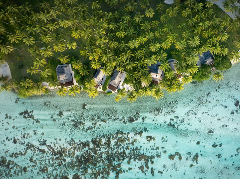 Vahine Private Island主图