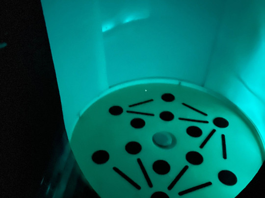 L'Oāsis Meïsō - Lyon Perrache-里昂必去景点