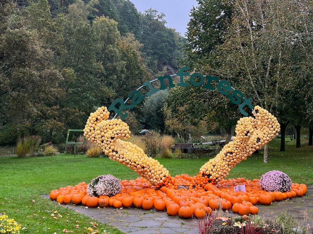 Gartenschau Kaiserslautern景点图片