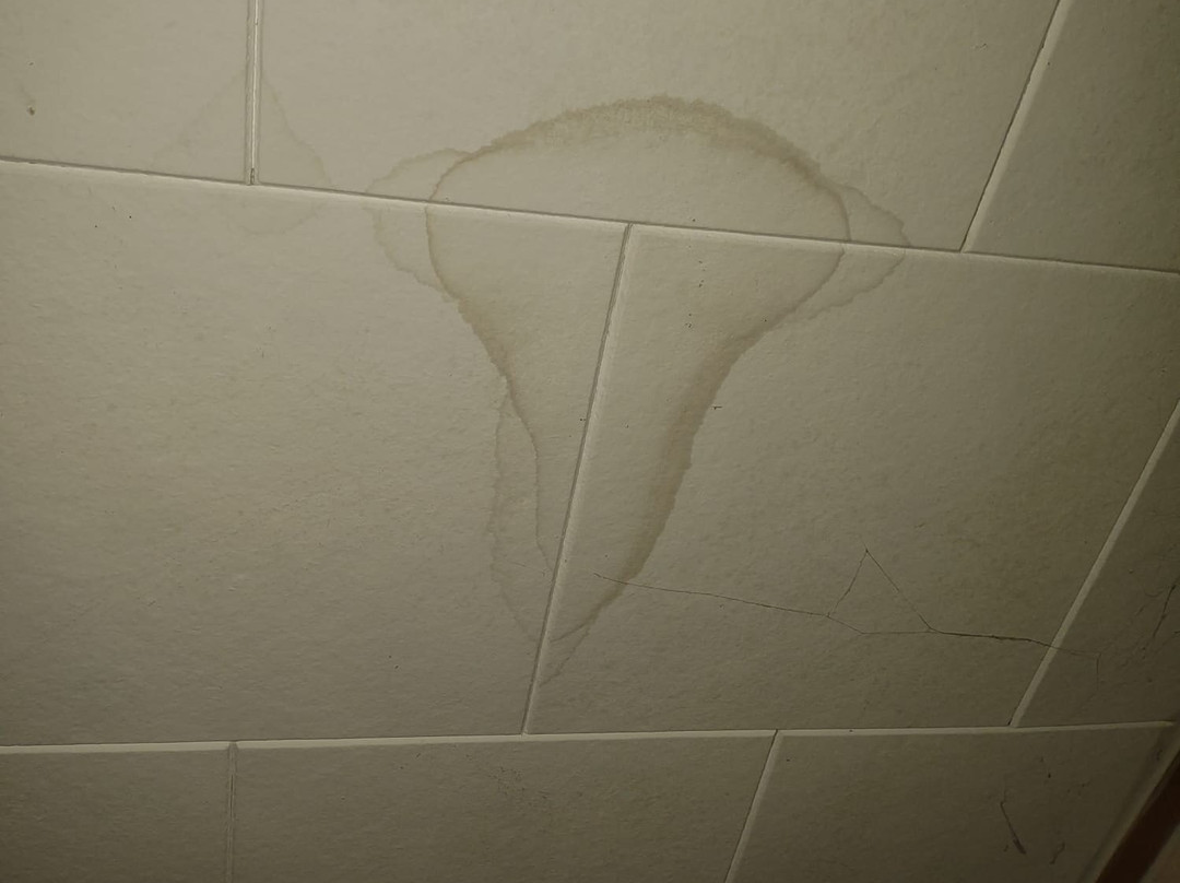 Mindemoya Motel主图