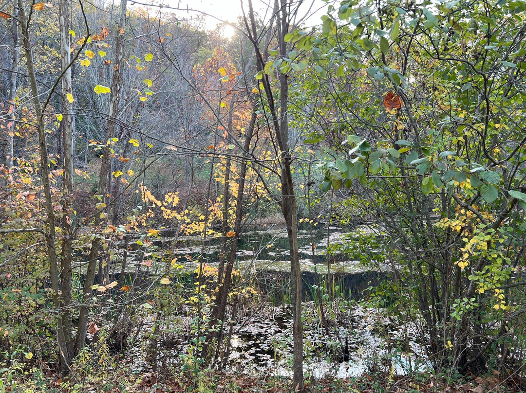 Saunders-Monticello Trail-夏洛茨维尔必去景点