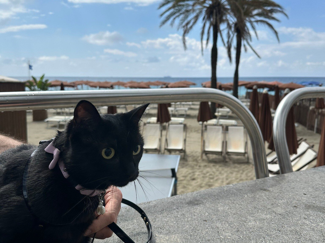 Hotel San Pietro Palace主图