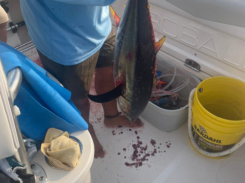 Fish Crew Huatulco-Crucecita必去景点