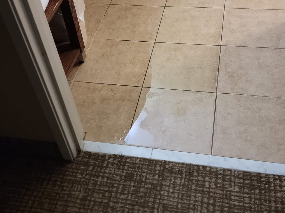 Comfort Inn New Orleans Airport South主图