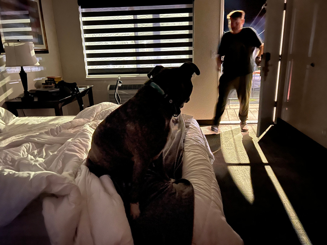 White Pine Motel主图