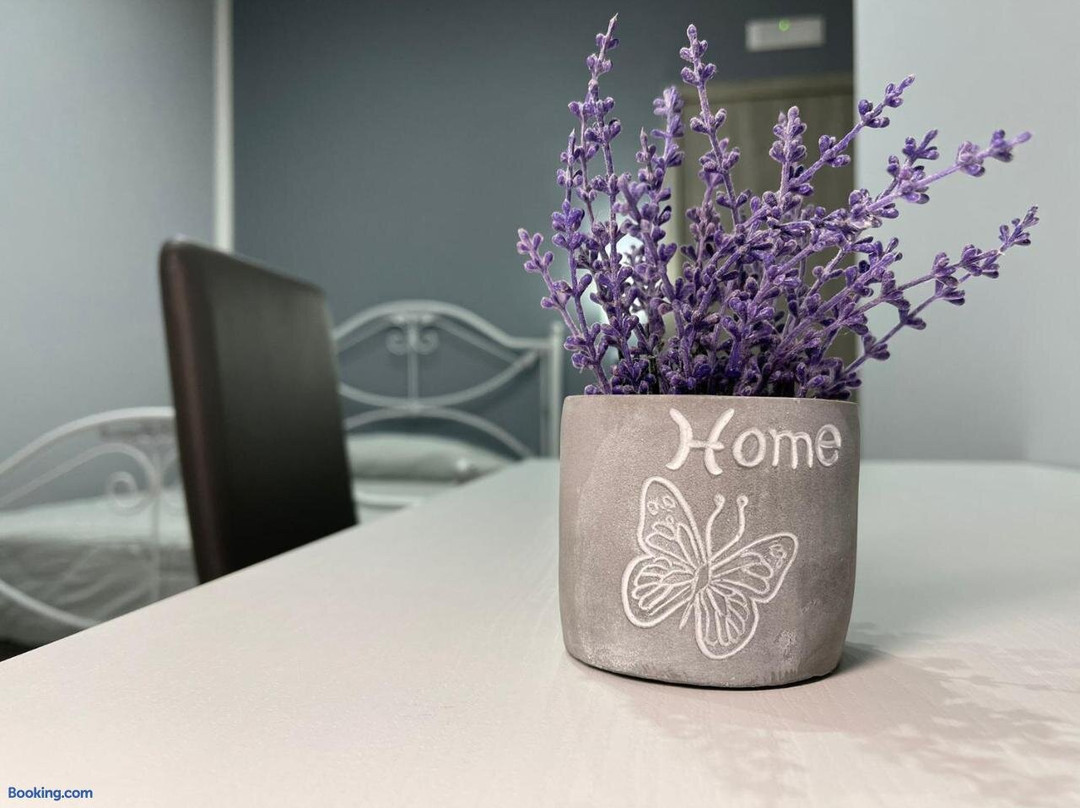 Bed & Breakfast La Primavera主图