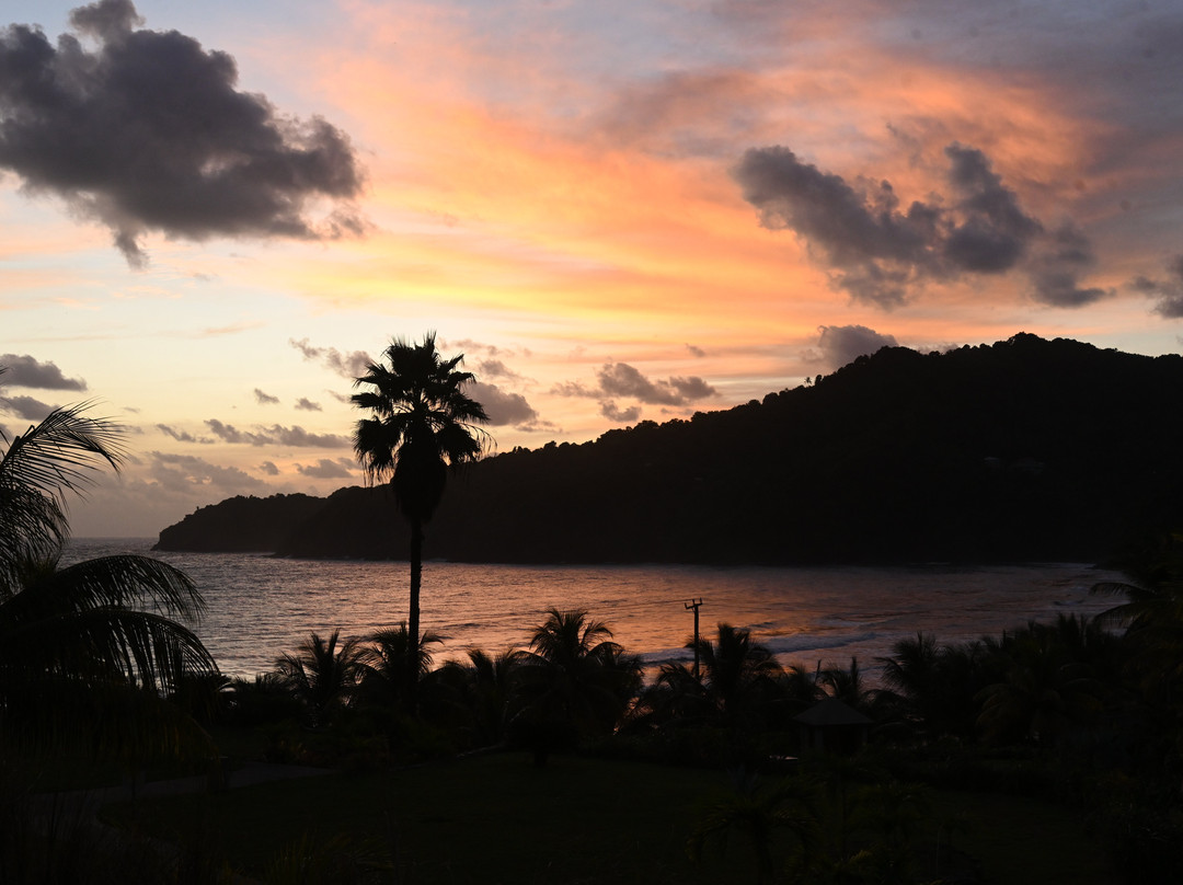 Pagua Bay House Oceanfront Cabanas主图