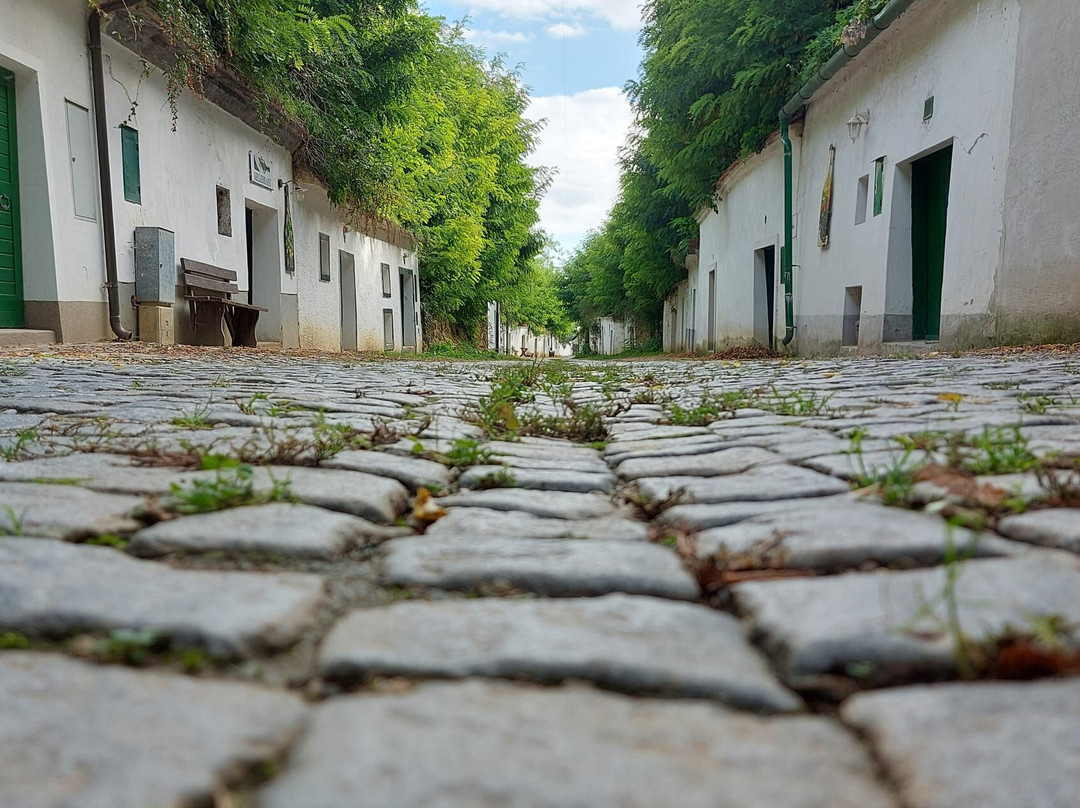 Kellergasse Radyweg景点图片