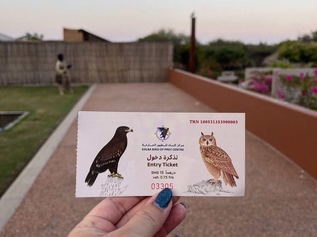 Kalba Bird of Prey Centre-富查伊拉必去景点