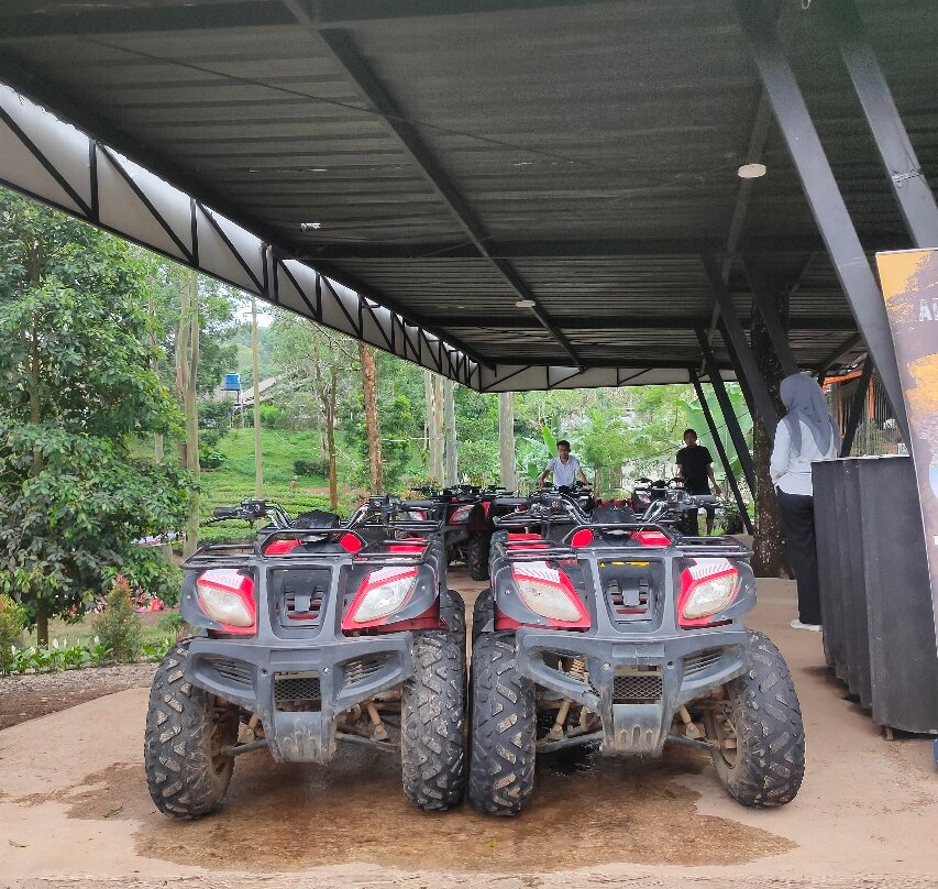 Agrowisata GUNUNG MAS Kebun Teh Walini-本哲必去景点