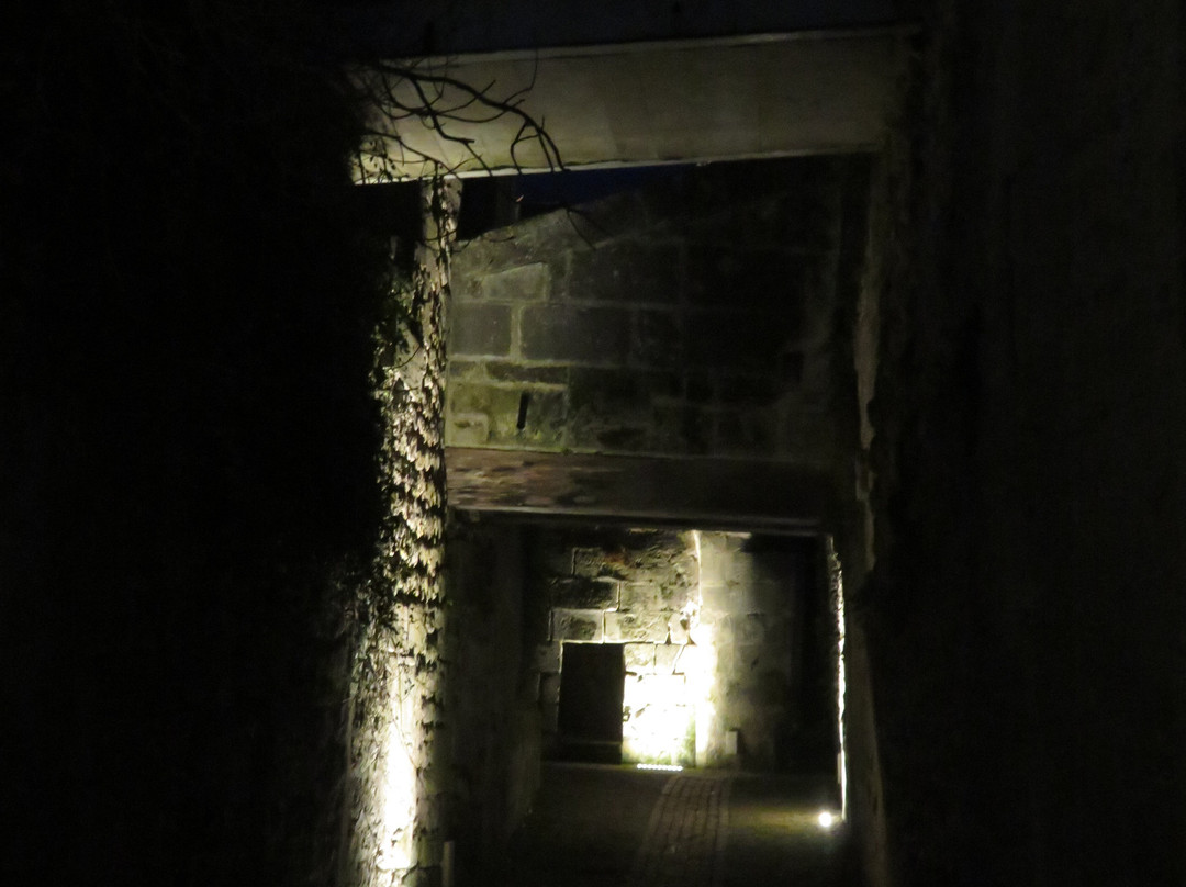 Jonzac, France. Rue De Champagnac景点图片