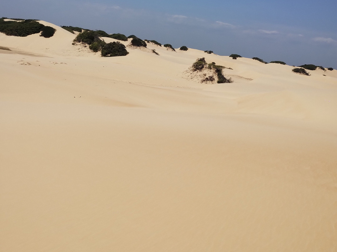 Passeios a Foz do Rio São Francisco - DR TOUR-Piacabucu必去景点