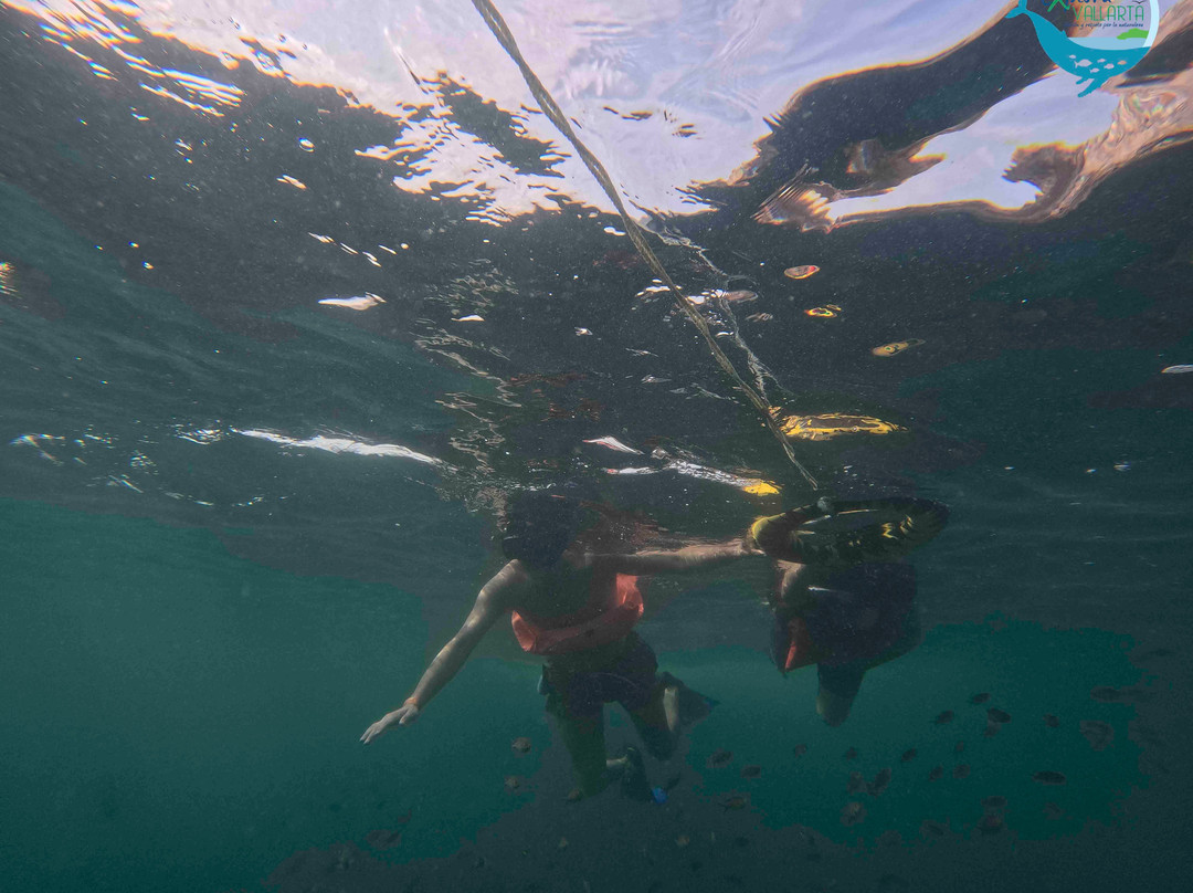 Explora Vallarta-瓦拉塔港必去景点