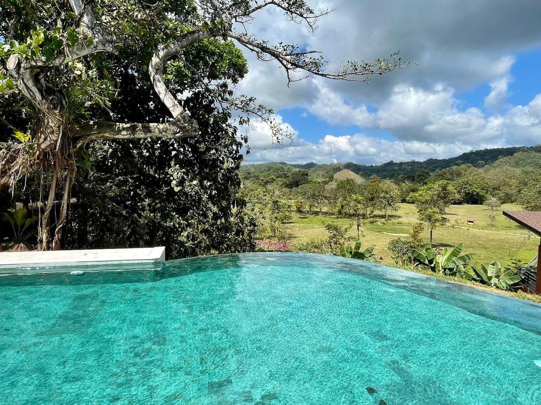Hacienda Las Colinas景点图片
