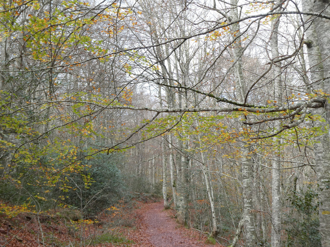 Mirador de Zamariain-Garayoa必去景点