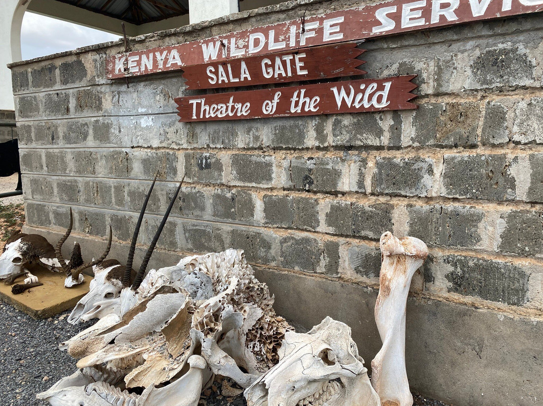 Kifola Safaris-瓦塔木必去景点