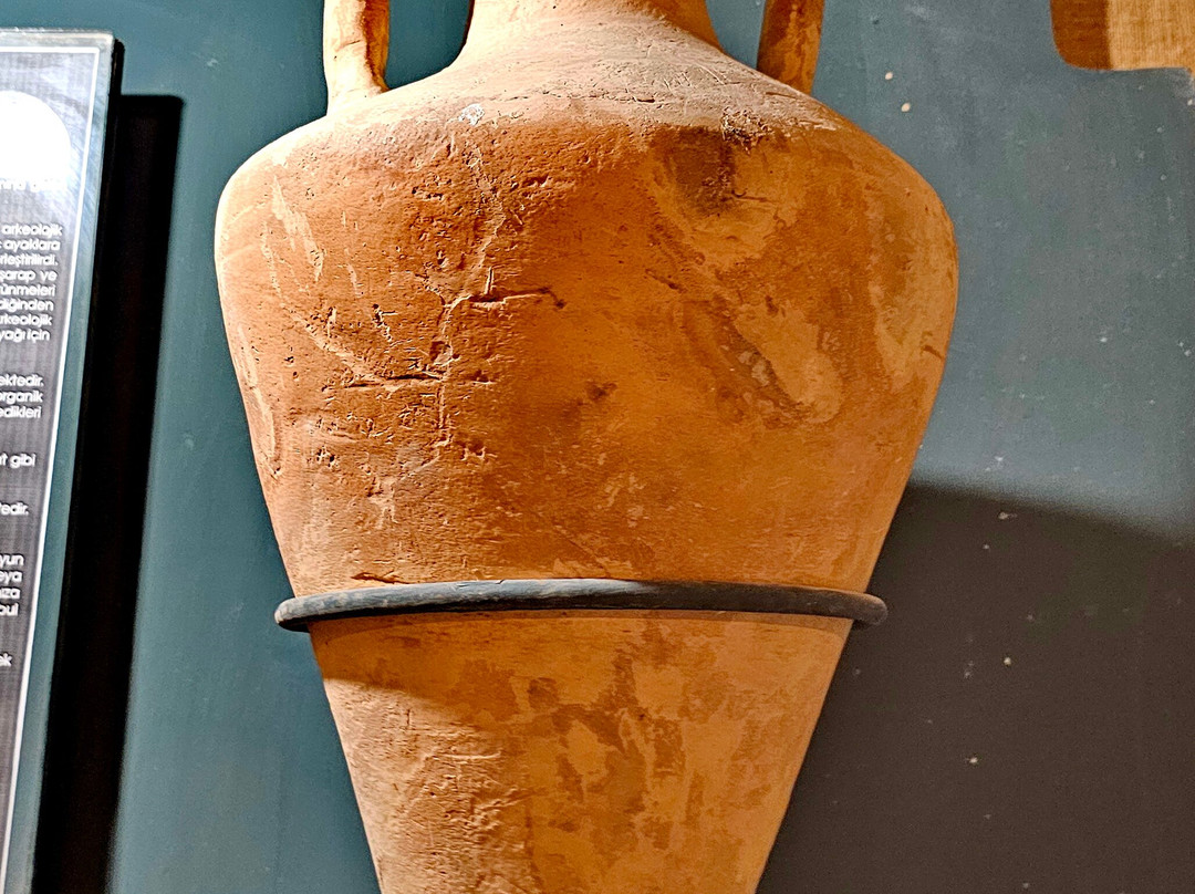 Ancient Shipwreck Museum景点图片