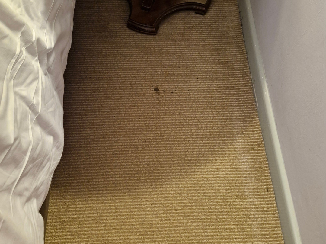 埃克塞特南门美居酒店主图