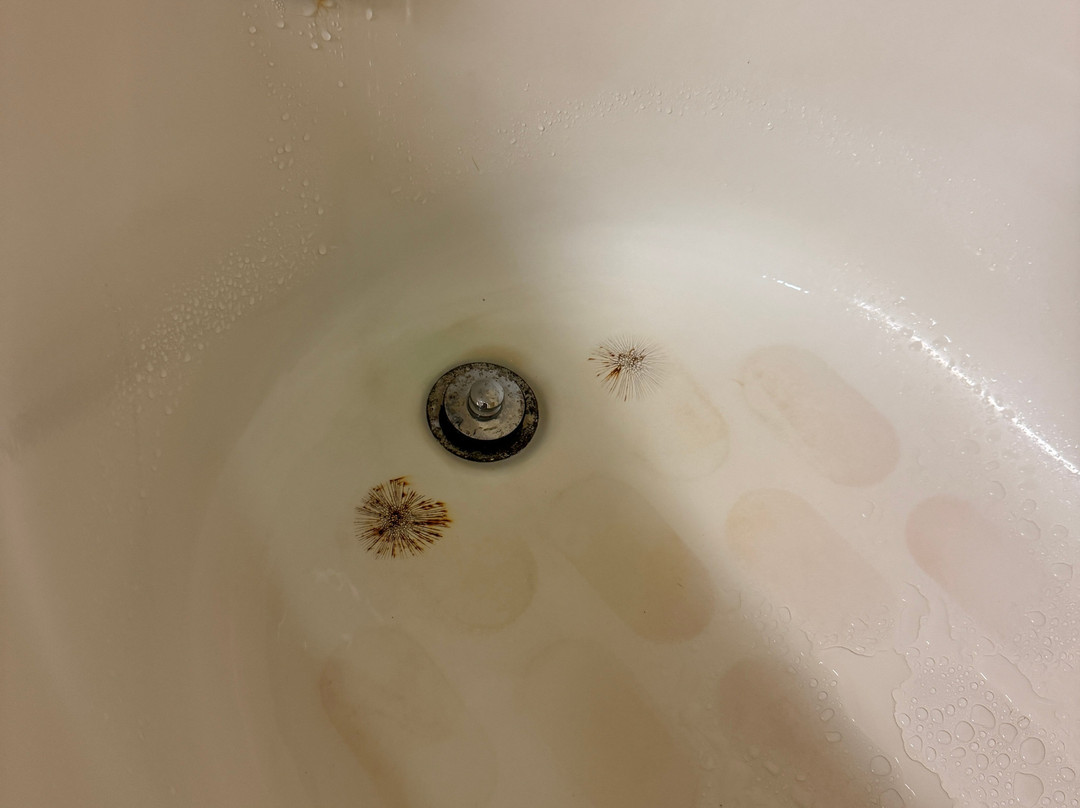 Hampton Inn Raleigh-Capital Boulevard North主图