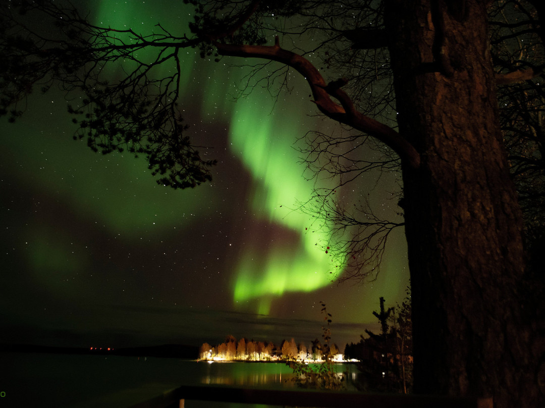 Guesthouse Uitonniemi主图