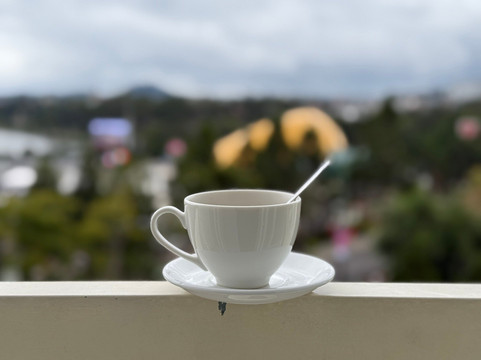 大叻帕玉酒店主图