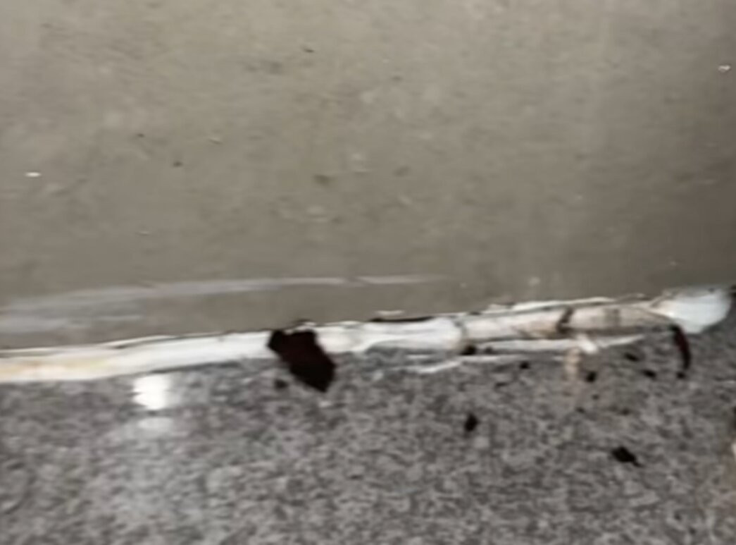 耶娄萨伯酒店主图