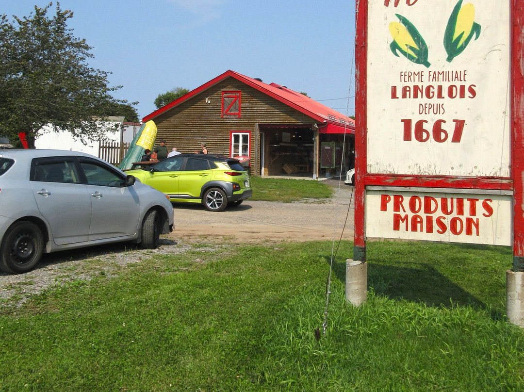 Ferme Langlois Chez Médé-Neuville必去景点