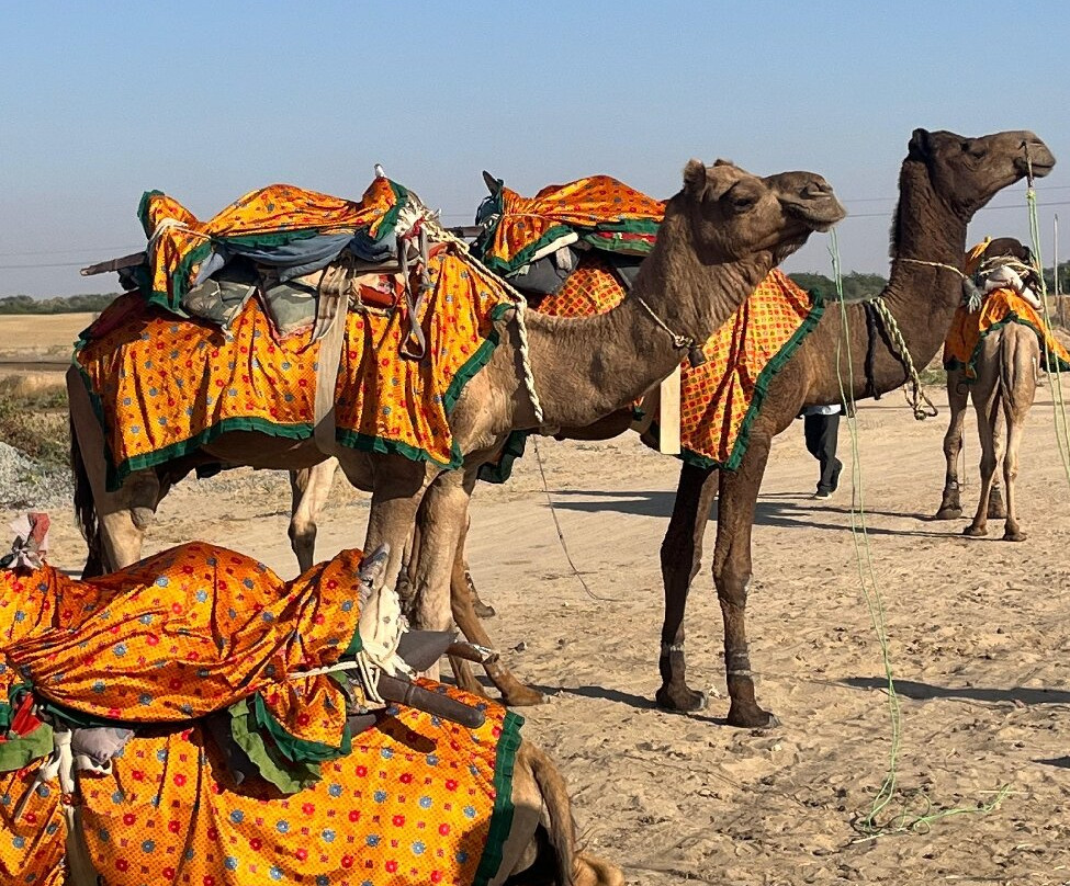 帕尔拉贾度假村主图