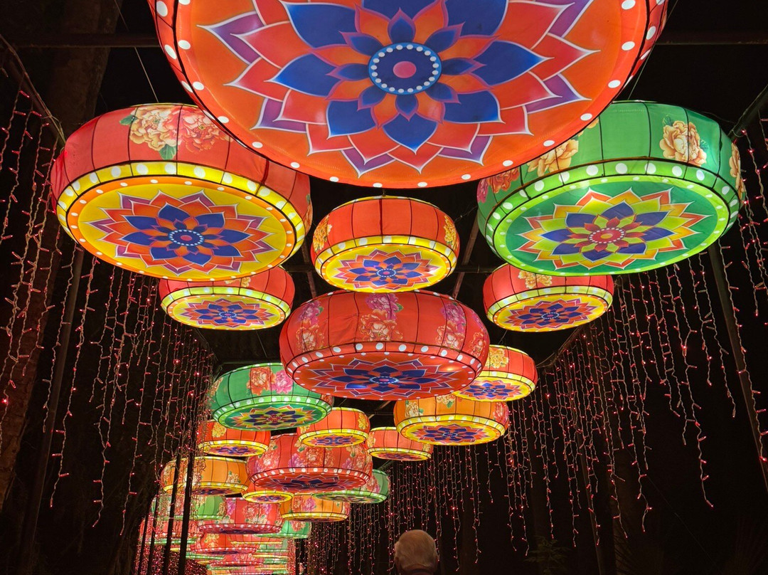 Asian Lantern Festival-桑福德必去景点