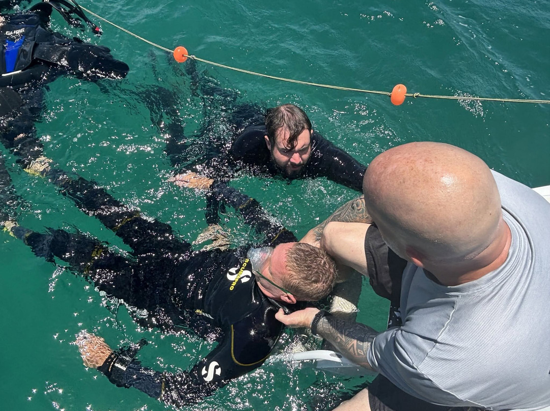 Pilbara Dive And Tours Pty Ltd-卡拉萨必去景点