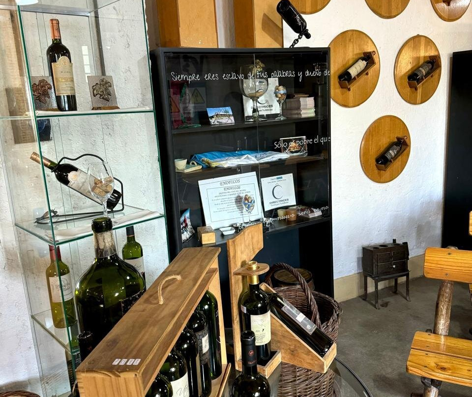Bodega Artesanal Vina el Cerno-Maipu必去景点