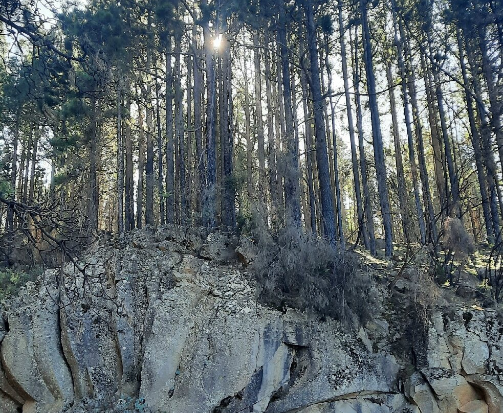 Gregorios Wanderfamily-圣克鲁斯-德特内里费必去景点