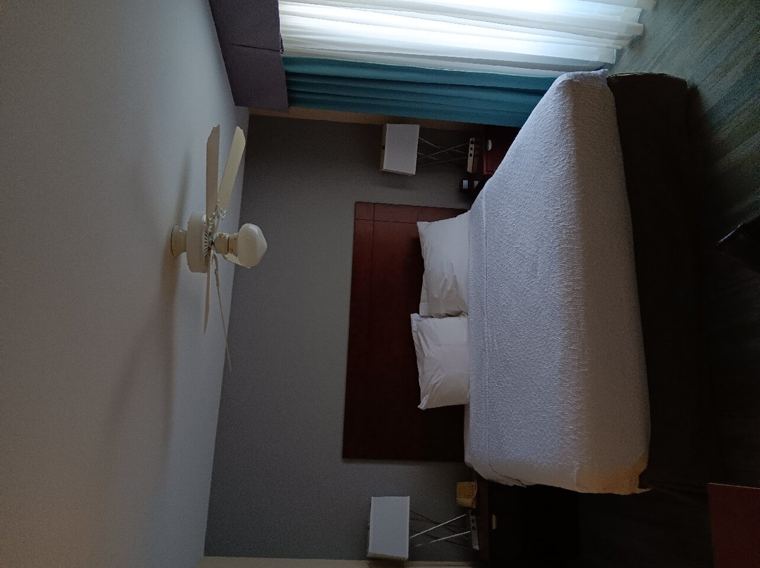 Homewood Suites by Hilton Macon-North主图