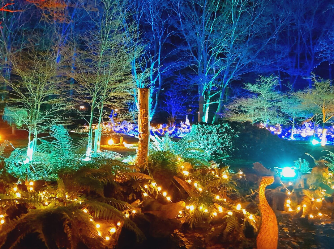 Burnby Hall Gardens and Museum景点图片