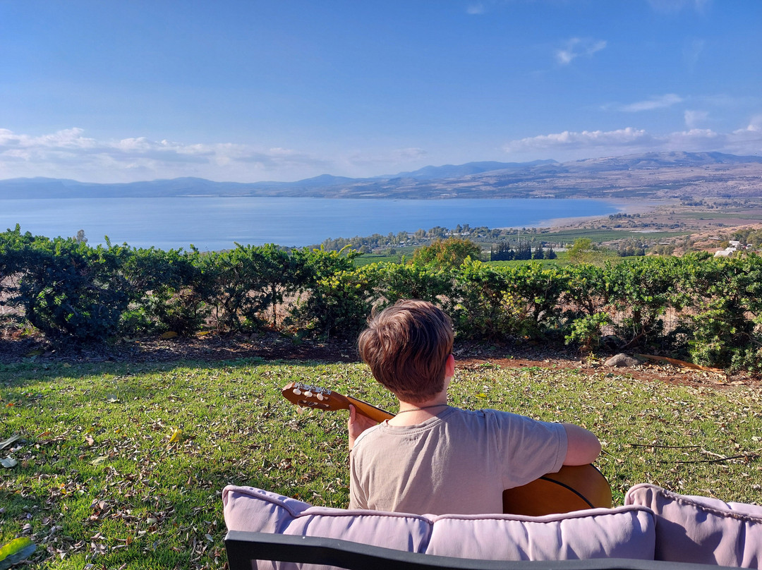 Sea of Galilee Panoramic View主图