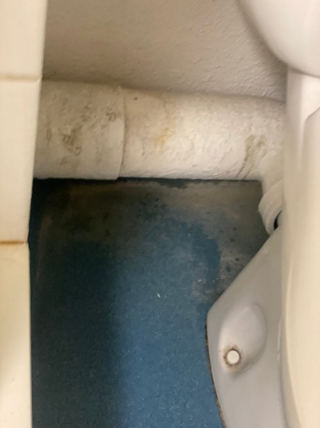 宜必思快捷沙特尔酒店-官方