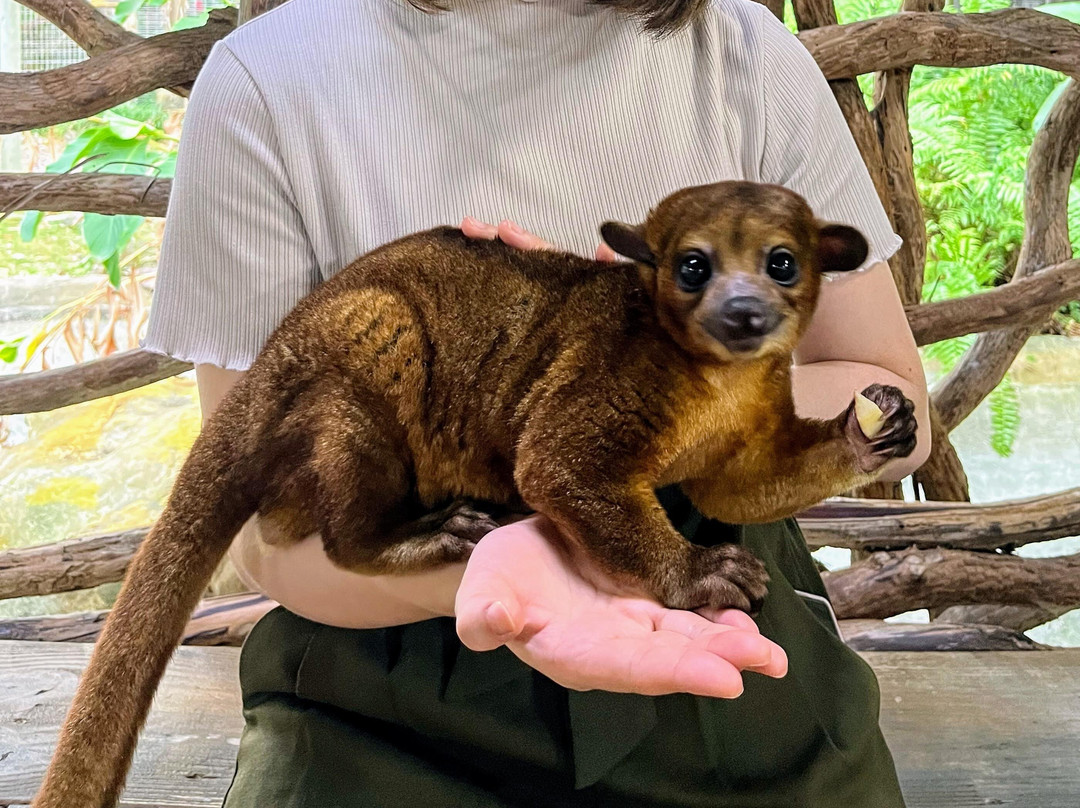 ZWF野生动物园景点图片