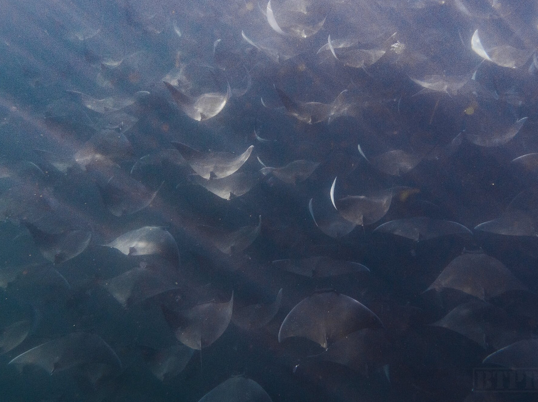 Baja Wild Encounters-La Ventana必去景点