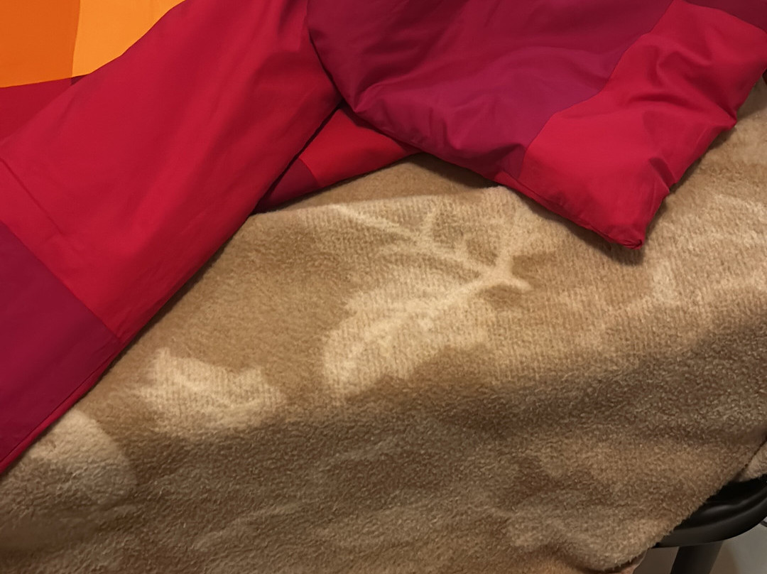 D.G.花园酒店主图