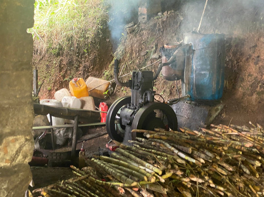 Finca La Arrinconada-麦德林必去景点