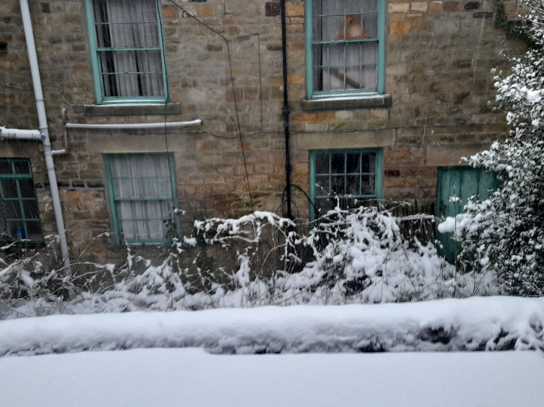 The Coach And Horses主图